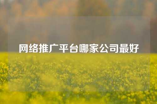 网络推广平台哪家公司最好