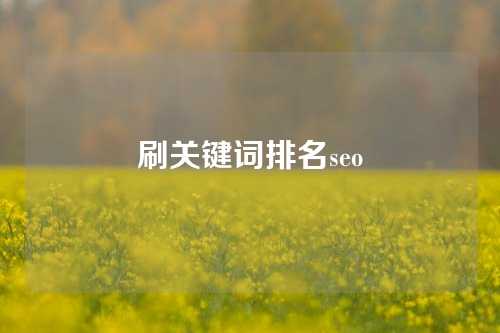 刷关键词排名seo