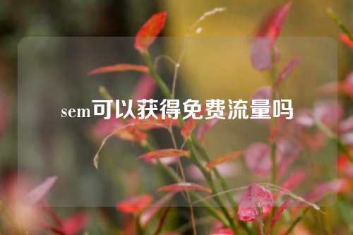 sem可以获得免费流量吗