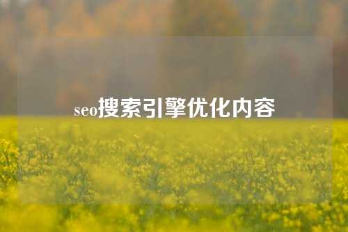 seo搜索引擎优化内容