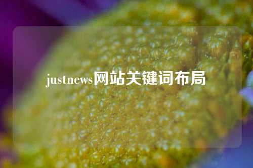 justnews网站关键词布局