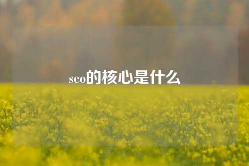 seo的核心是什么