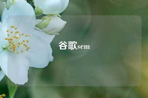 谷歌sem