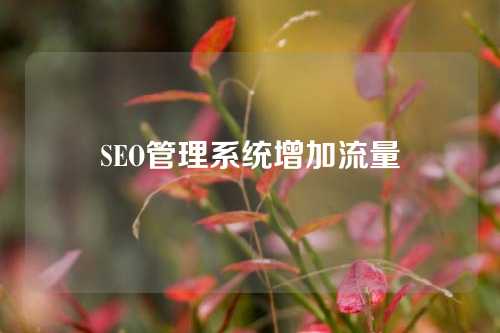 SEO管理系统增加流量