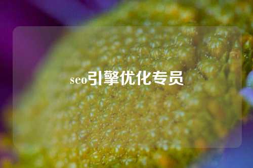 seo引擎优化专员