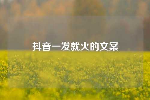 抖音一发就火的文案