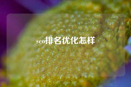 seo排名优化怎样