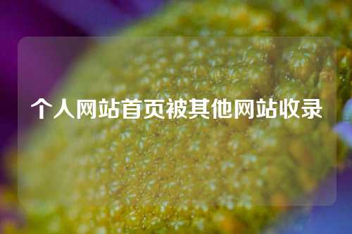 个人网站首页被其他网站收录