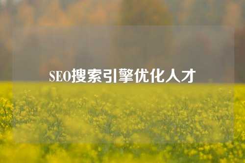 SEO搜索引擎优化人才