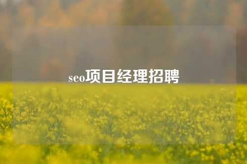 seo项目经理招聘