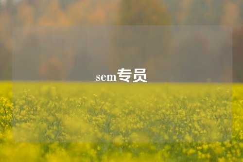 sem专员