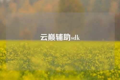 云巅辅助sdk