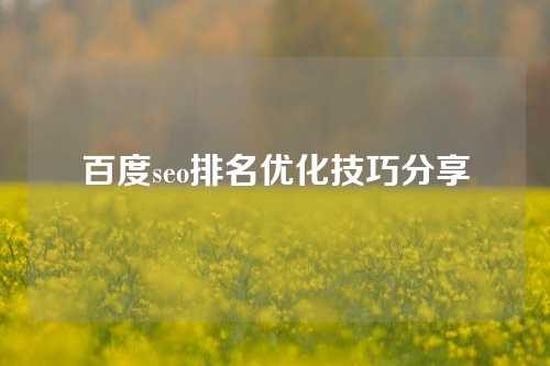 百度seo排名优化技巧分享