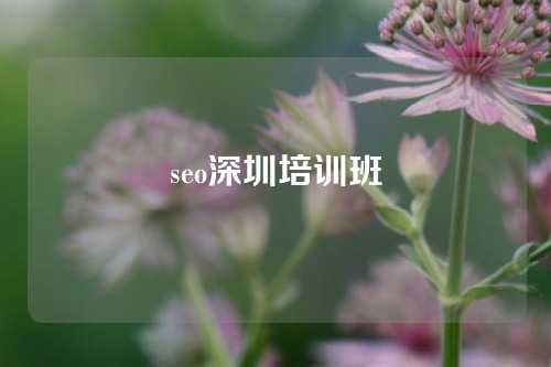 seo深圳培训班