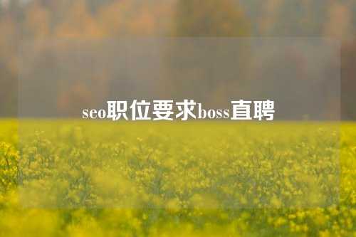 seo职位要求boss直聘