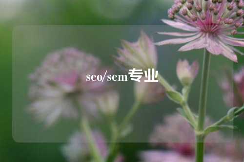 seo/sem专业