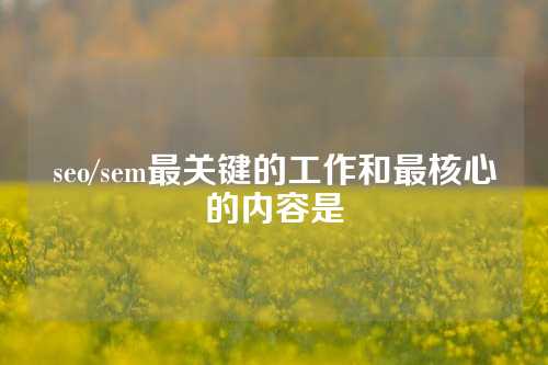 seo/sem最关键的工作和最核心的内容是