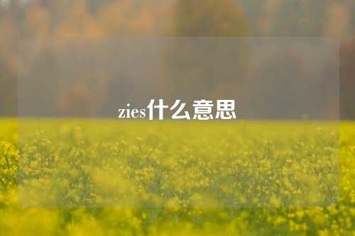 zies什么意思