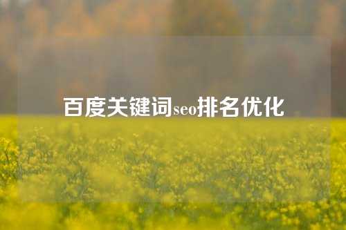 百度关键词seo排名优化