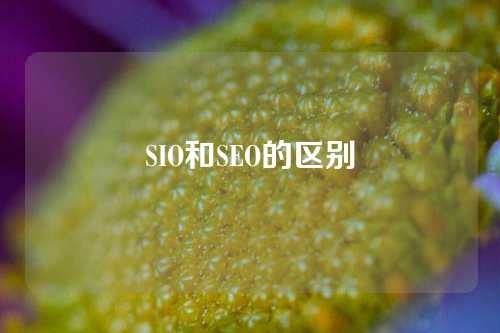 SIO和SEO的区别