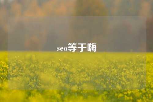 seo等于嗨