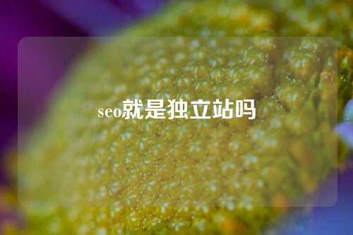 seo就是独立站吗