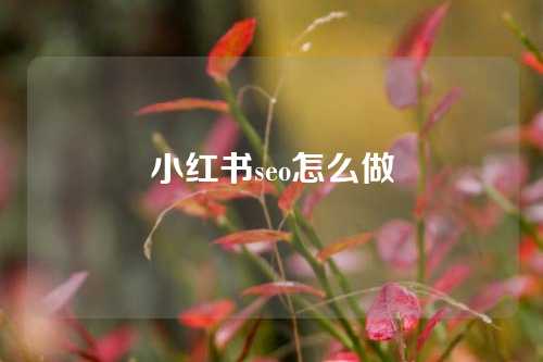 小红书seo怎么做