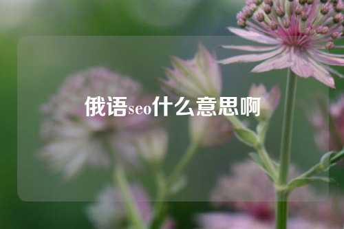 俄语seo什么意思啊