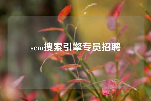 sem搜索引擎专员招聘