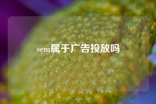 sem属于广告投放吗