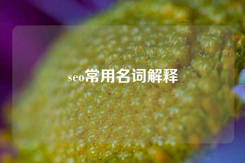 seo常用名词解释