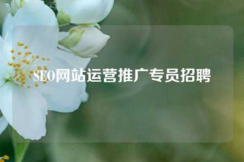 SEO网站运营推广专员招聘