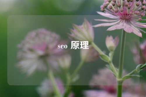 seo 原理