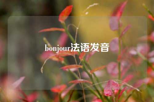 bonjour法语发音