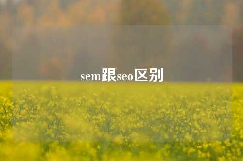 sem跟seo区别