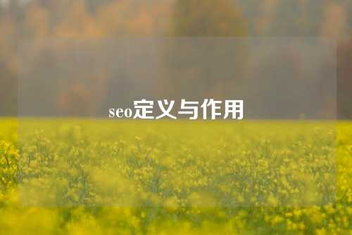 seo定义与作用